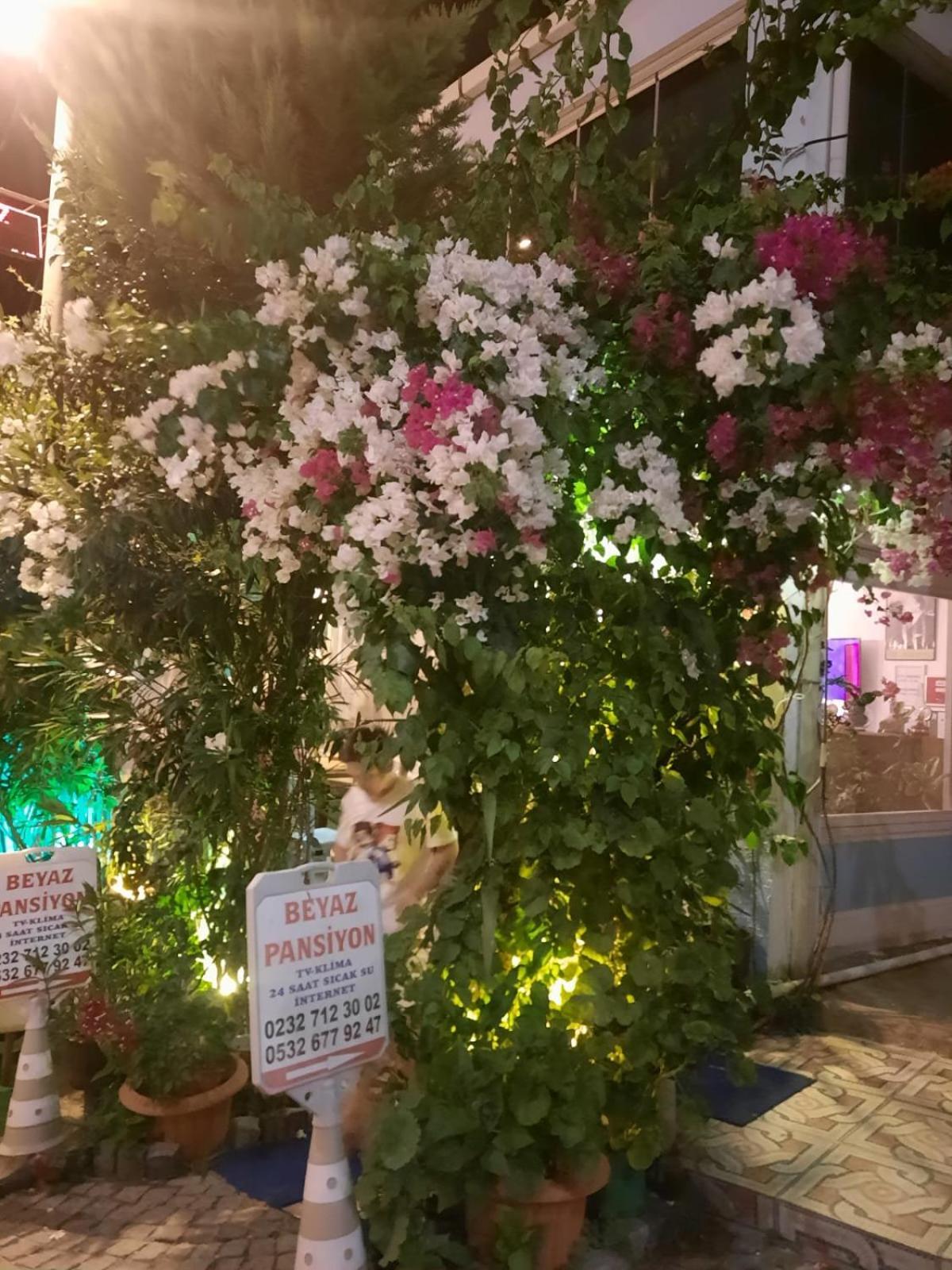 Beyaz Apart Pansiyon Çeşme Εξωτερικό φωτογραφία